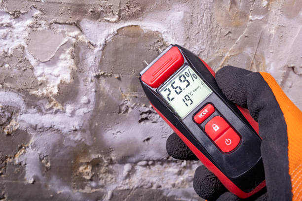 Mold Testing and Removal in Pascoag, RI