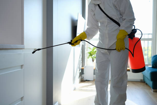 Best Mold Removal Near Me  in Pascoag, RI
