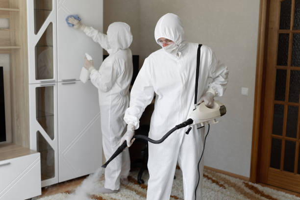 Best Attic Mold Removal  in Pascoag, RI