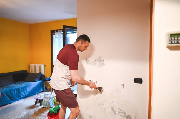 Best Affordable Mold Removal  in Pascoag, RI